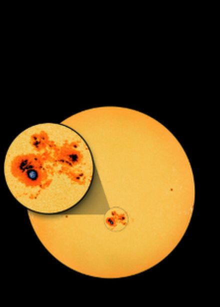 Солнце и его семья